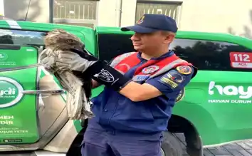 Çorum'da Kaçak Avcılığa Sıkı Denetim