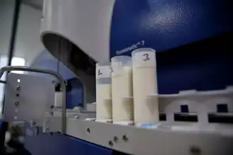 Çorum'da Süt Üretimi İki Katına Çıktı!