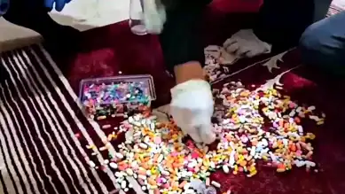 Sungurlu'da Uyuşturucu Baskını: Tutuklama