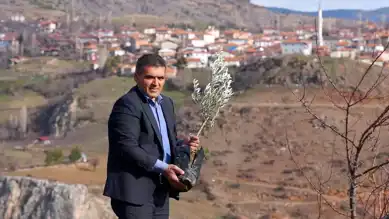 Yaylabaşı'nda Her Bebek İçin Bir Fidan