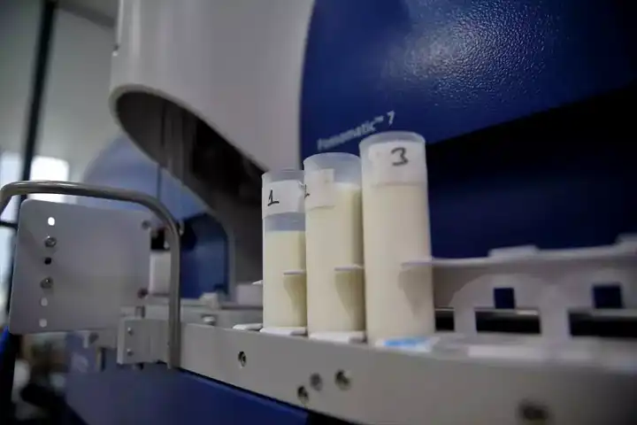 Çorum'da Süt Üretimi İki Katına Çıktı!