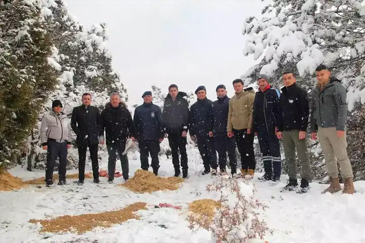 Çorum'da Yaban Hayvanları Kışa Hazırlanıyor