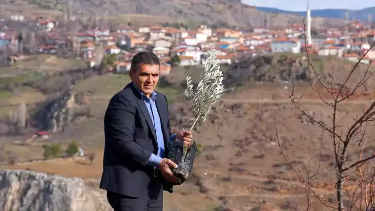 Yaylabaşı'nda Her Bebek İçin Bir Fidan